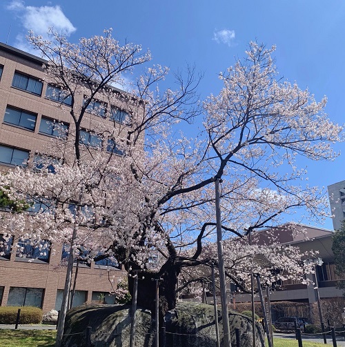 今年度もよろしくお願いします！