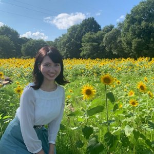 輝くように咲き誇る夏の花🌻