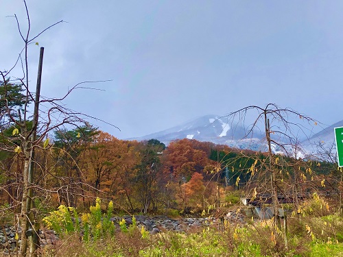 秋から冬へ⛄