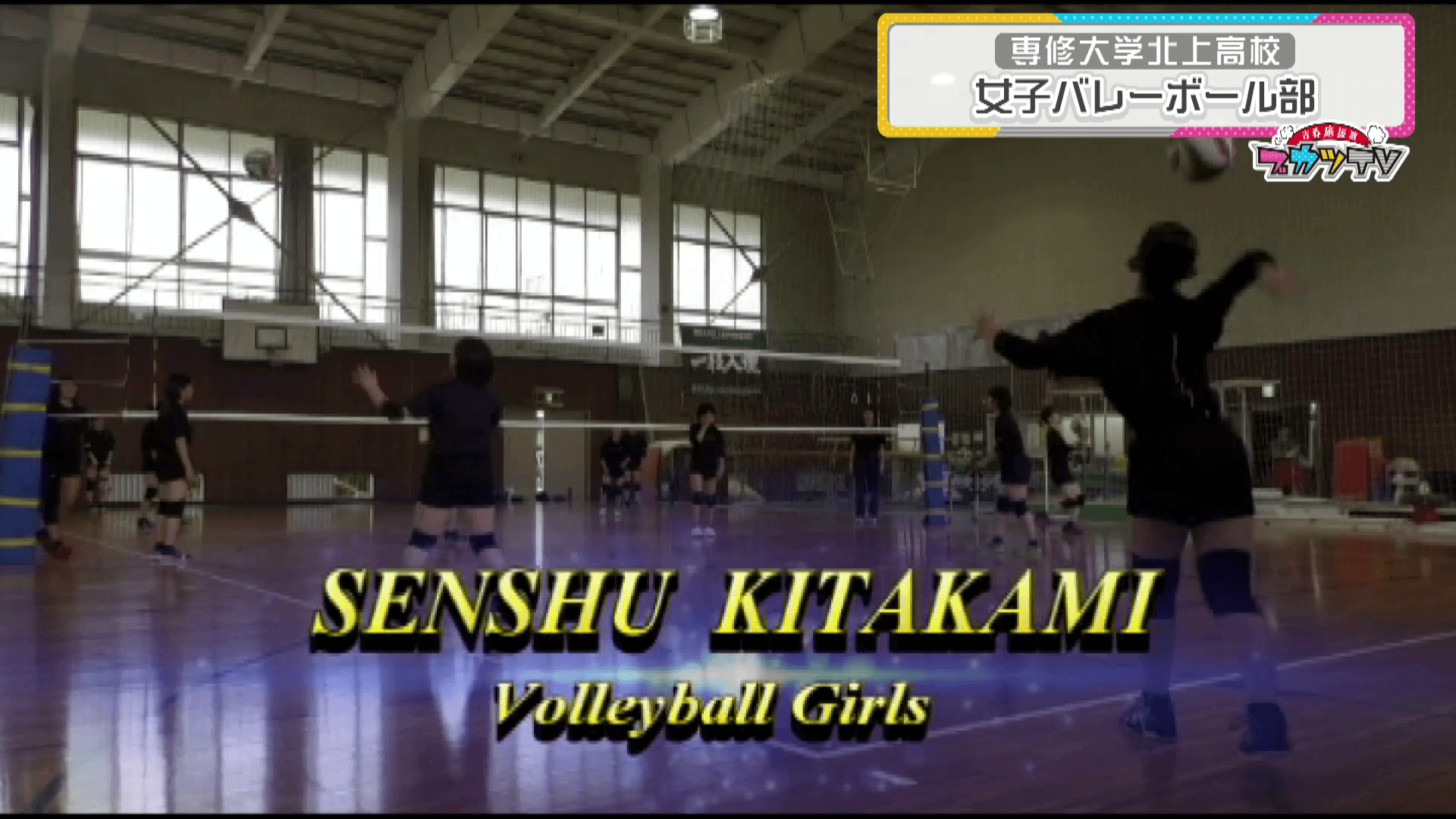 専大北上高校女子バレーボール部