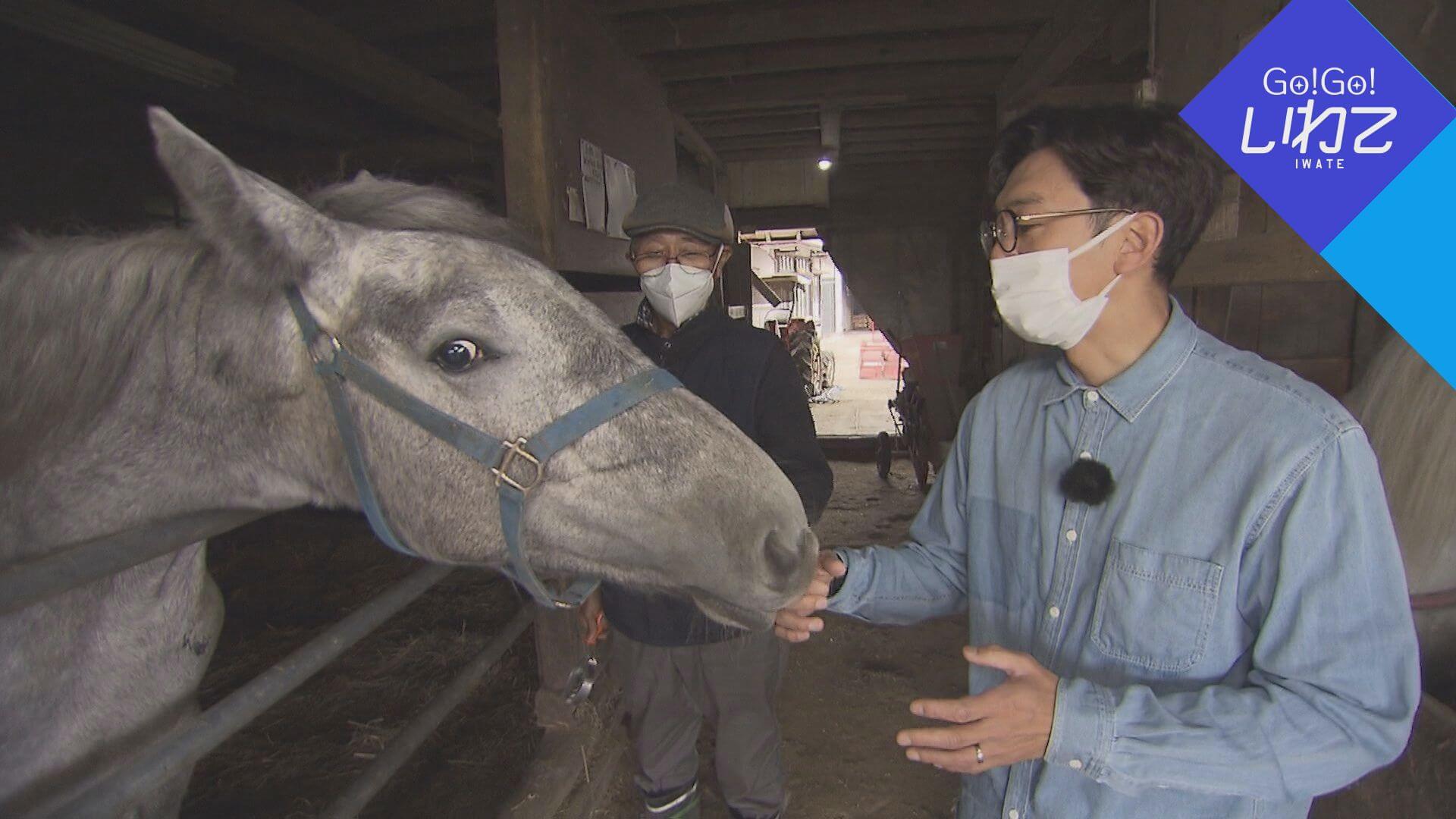 天津木村、馬コを知る