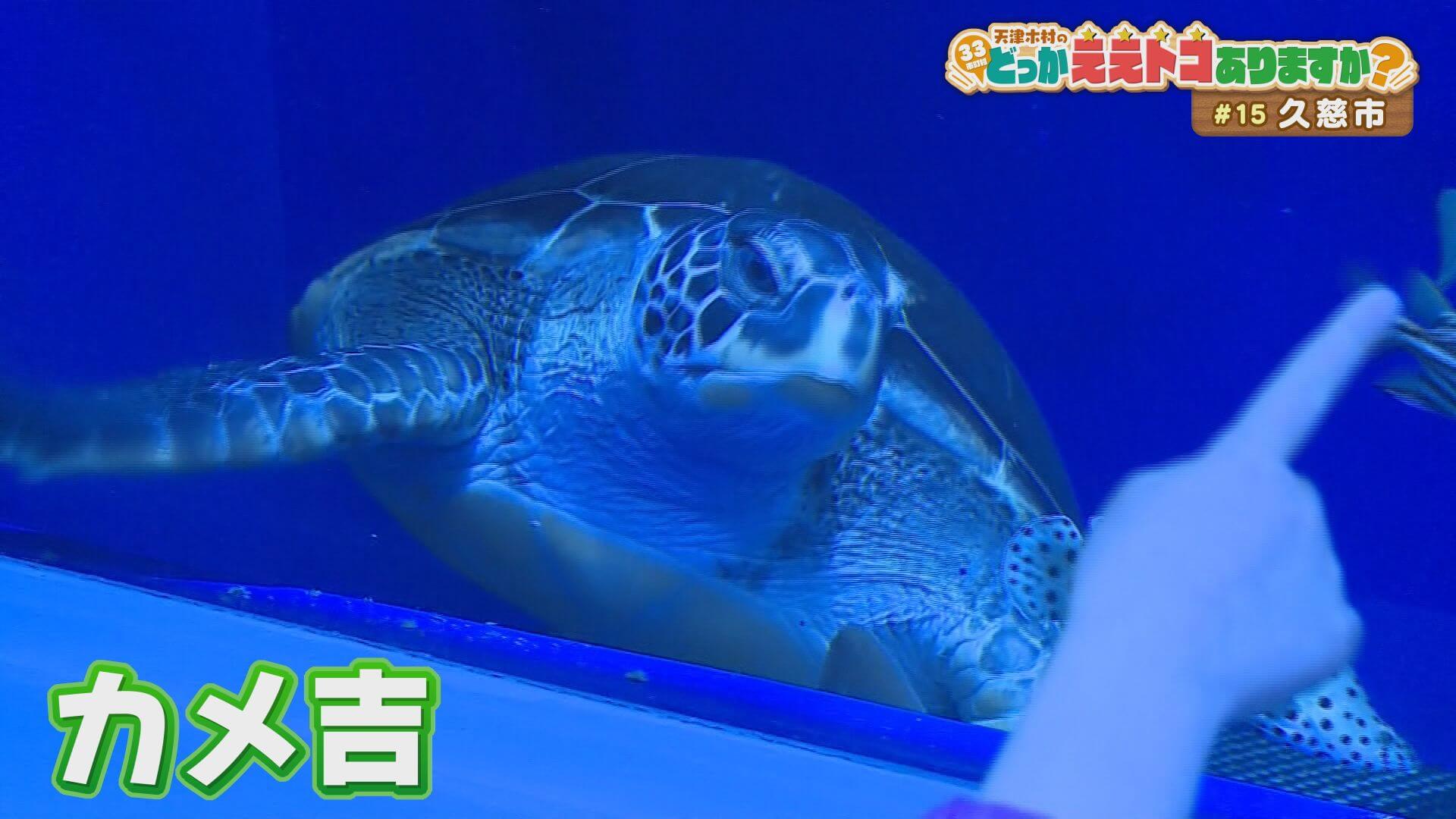 天津木村のどっかええトコありますか？ | Go!Go!いわて 【土曜あさ7:30～】