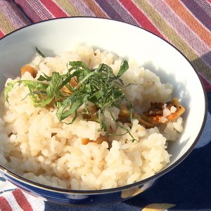 繝帙Ζ縺ｮ轤翫″霎ｼ縺ｿ縺薙ｙ鬟ｯ・医ワ繧吶ち繝ｼ鬚ｨ蜻ｳ・