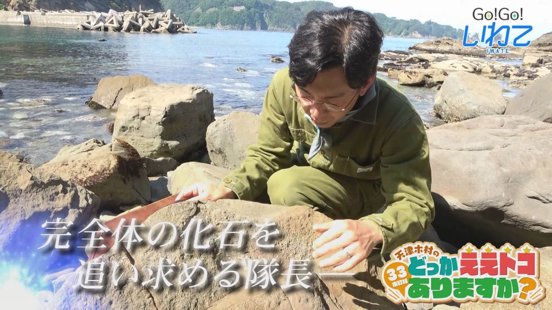 天津木村のどっかええトコありますか？