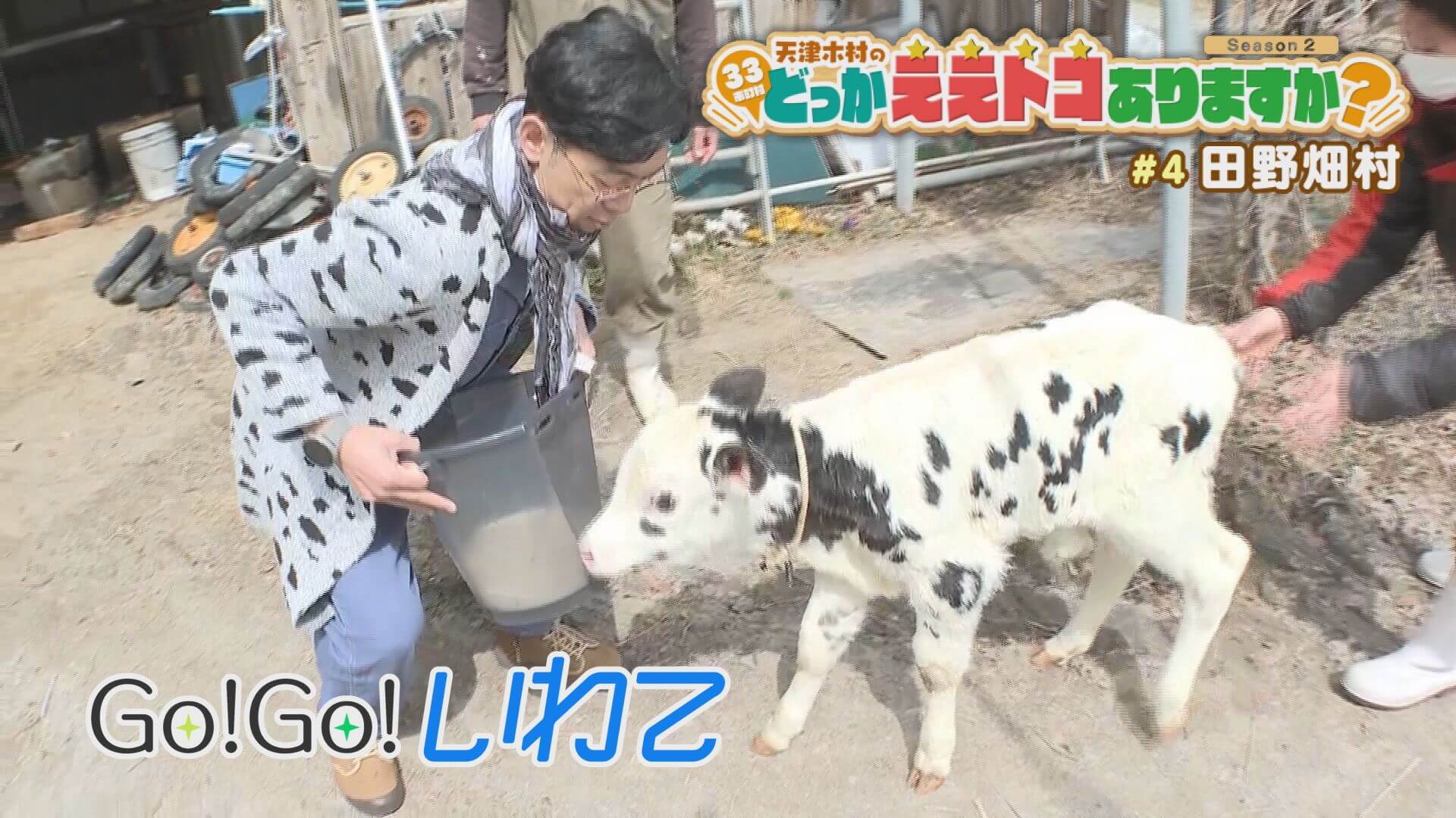 天津木村のどっかええトコありますか？