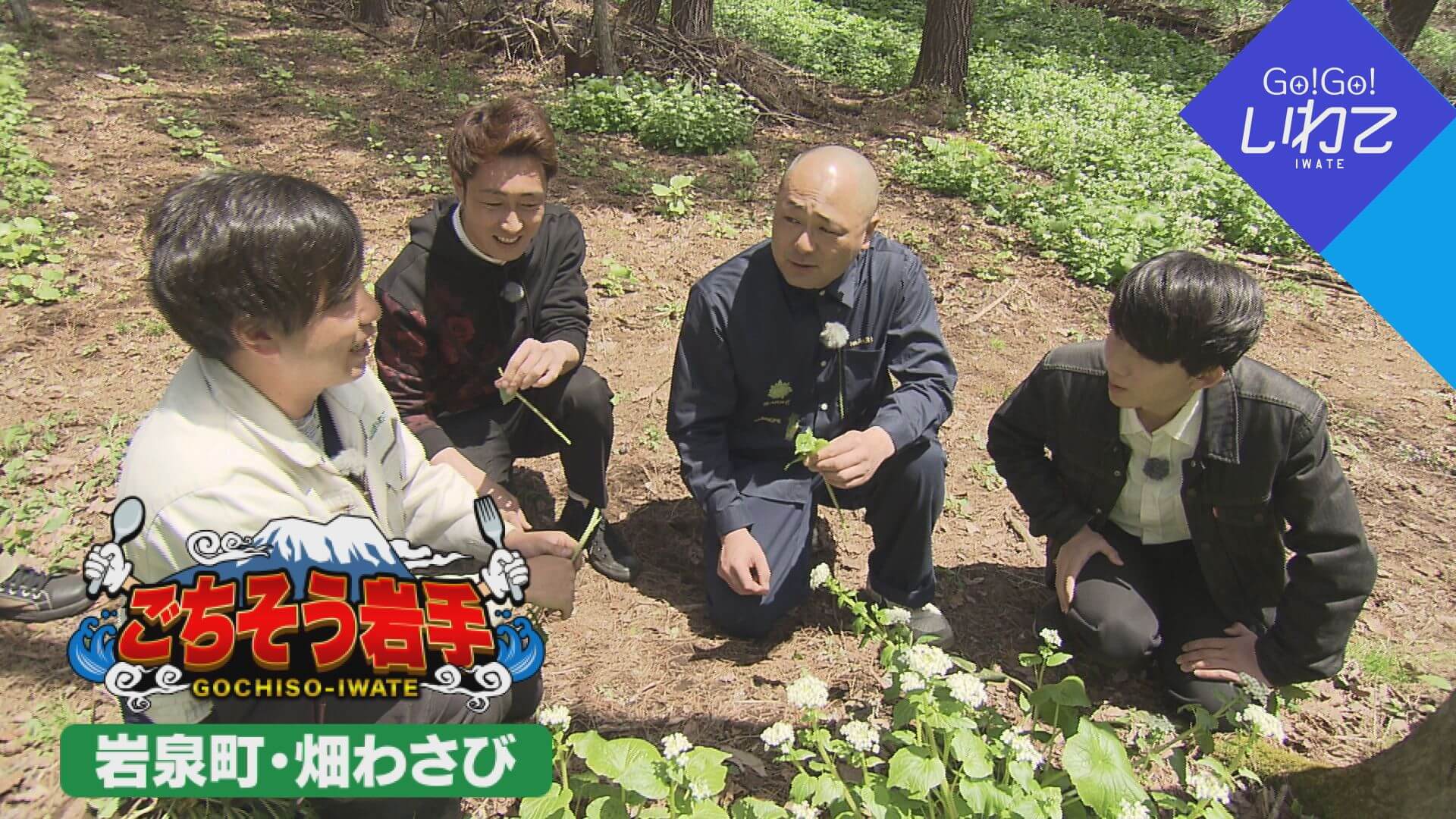 ごちそう岩手「畑わさび」