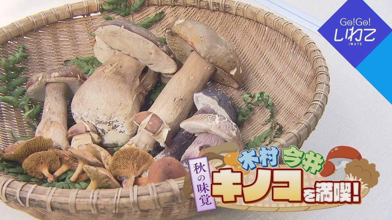 秋の味覚・キノコを満喫！