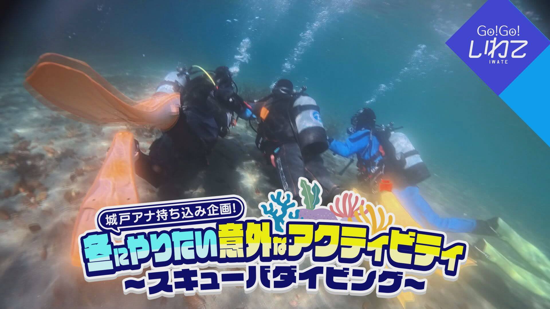 冬にやりたい意外なアクティビティ