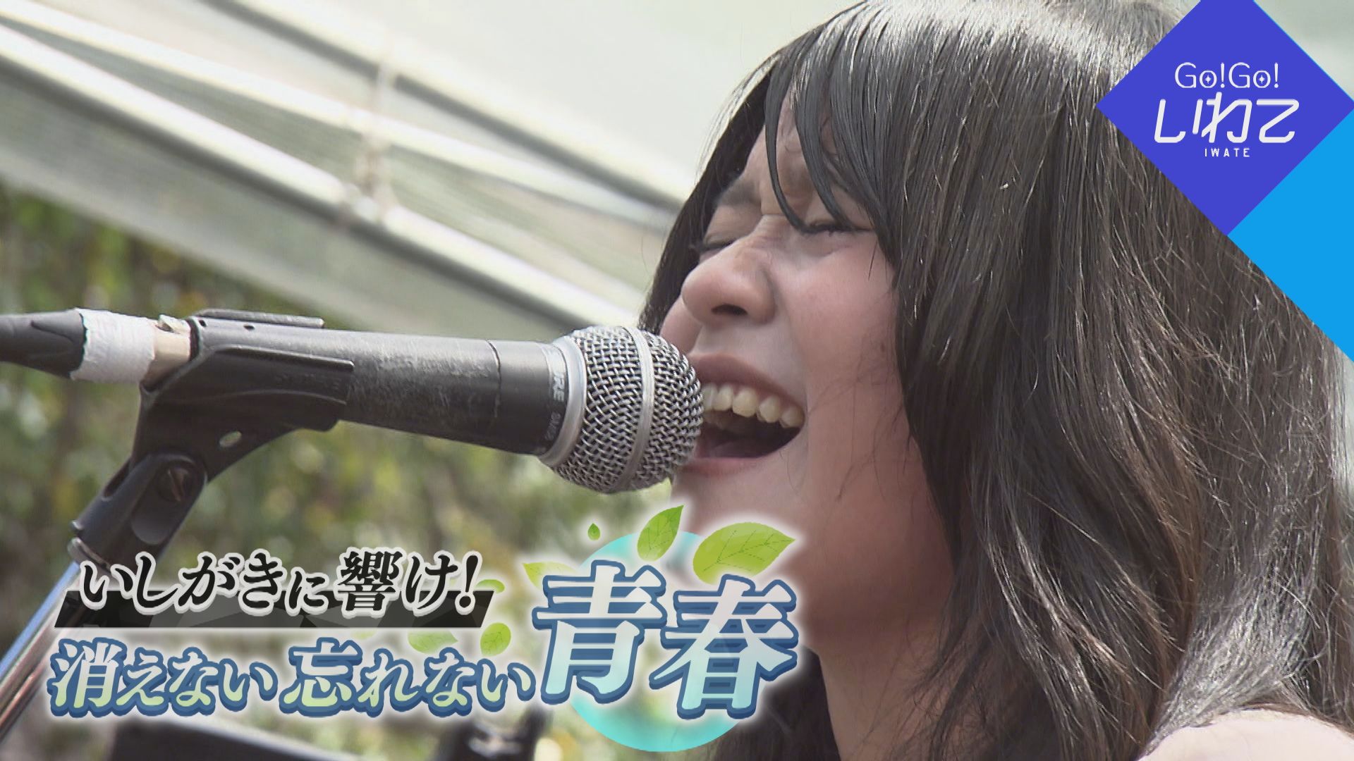 いしがきに響け！消えない忘れない青春