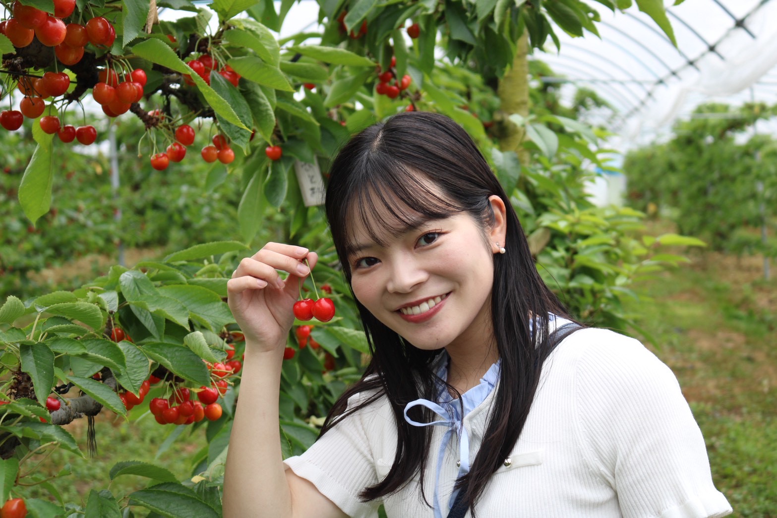旬の味覚